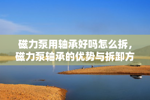 磁力泵用轴承好吗怎么拆，磁力泵轴承的优势与拆卸方法解析