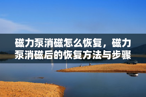 磁力泵消磁怎么恢复，磁力泵消磁后的恢复方法与步骤