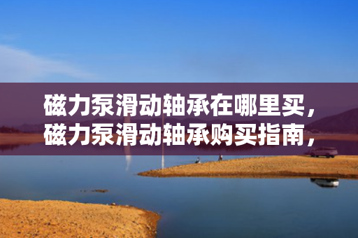 磁力泵滑动轴承在哪里买，磁力泵滑动轴承购买指南，找到最适合你的购买地点