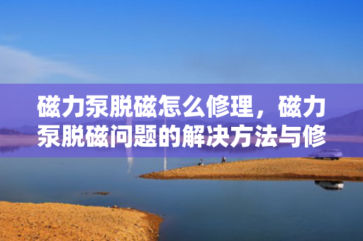 磁力泵脱磁怎么修理，磁力泵脱磁问题的解决方法与修理指南