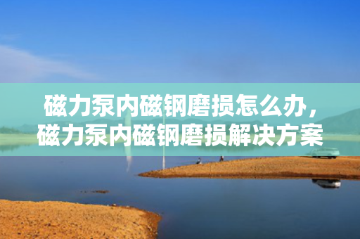磁力泵内磁钢磨损怎么办，磁力泵内磁钢磨损解决方案