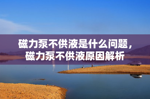 磁力泵不供液是什么问题，磁力泵不供液原因解析
