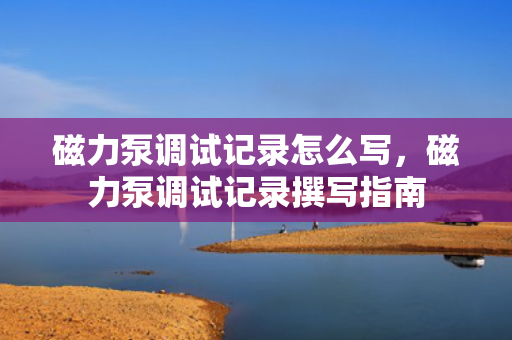 磁力泵调试记录怎么写，磁力泵调试记录撰写指南