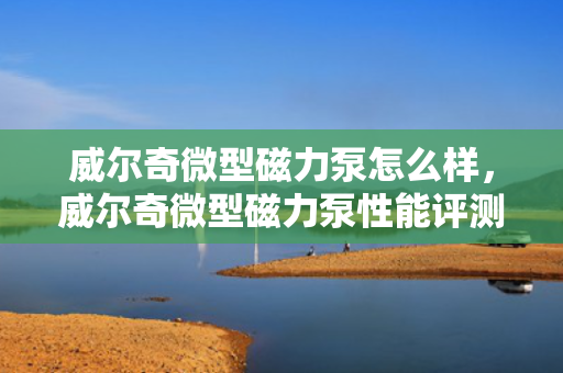 威尔奇微型磁力泵怎么样，威尔奇微型磁力泵性能评测及用户反馈