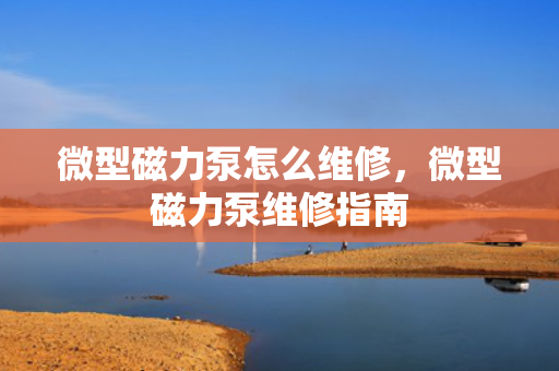 微型磁力泵怎么维修，微型磁力泵维修指南