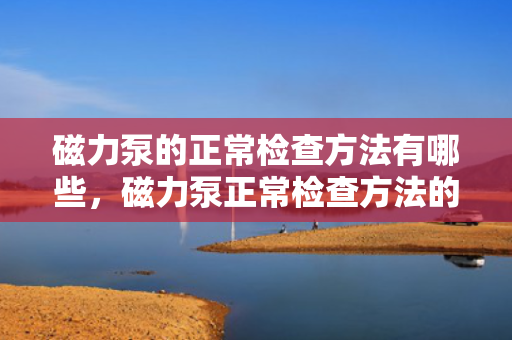 磁力泵的正常检查方法有哪些，磁力泵正常检查方法的全面指南