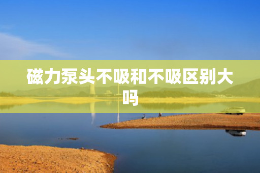磁力泵头不吸和不吸区别大吗