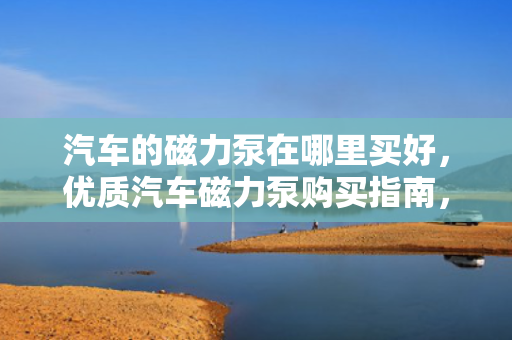 汽车的磁力泵在哪里买好，优质汽车磁力泵购买指南，推荐购买地点及选购建议