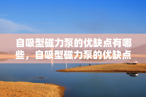 自吸型磁力泵的优缺点有哪些，自吸型磁力泵的优缺点全面解析