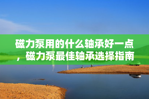 磁力泵用的什么轴承好一点，磁力泵最佳轴承选择指南