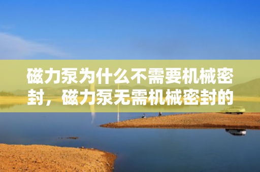 磁力泵为什么不需要机械密封，磁力泵无需机械密封的奥秘