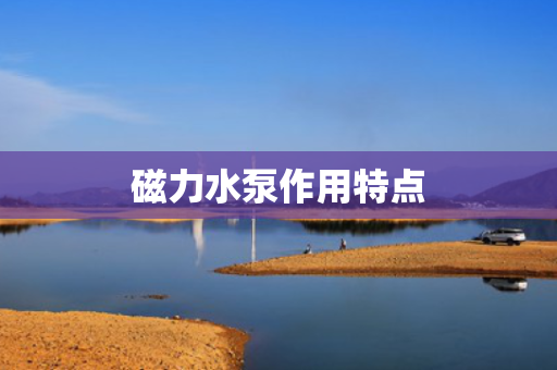 磁力水泵作用特点