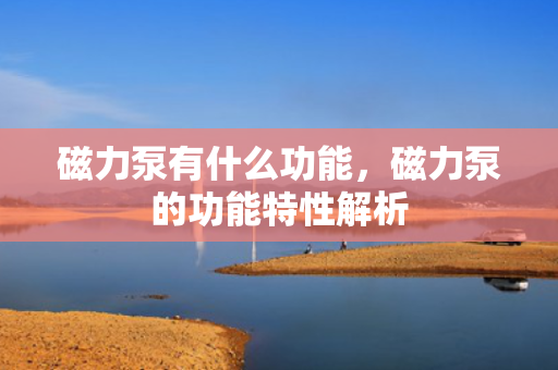 磁力泵有什么功能，磁力泵的功能特性解析