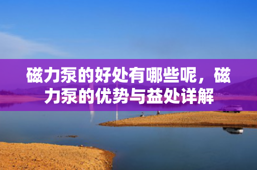 磁力泵的好处有哪些呢，磁力泵的优势与益处详解