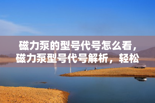 磁力泵的型号代号怎么看，磁力泵型号代号解析，轻松识别与选择适合您的磁力泵