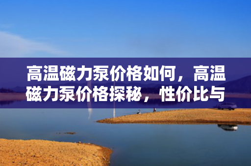 高温磁力泵价格如何，高温磁力泵价格探秘，性价比与市场行情解析