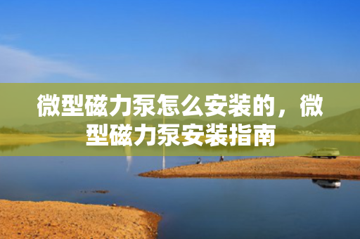 微型磁力泵怎么安装的，微型磁力泵安装指南