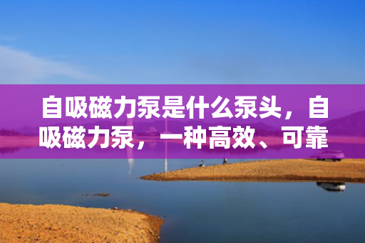 自吸磁力泵是什么泵头，自吸磁力泵，一种高效、可靠的泵头选择