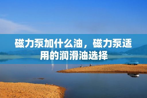 磁力泵加什么油，磁力泵适用的润滑油选择