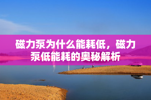 磁力泵为什么能耗低，磁力泵低能耗的奥秘解析