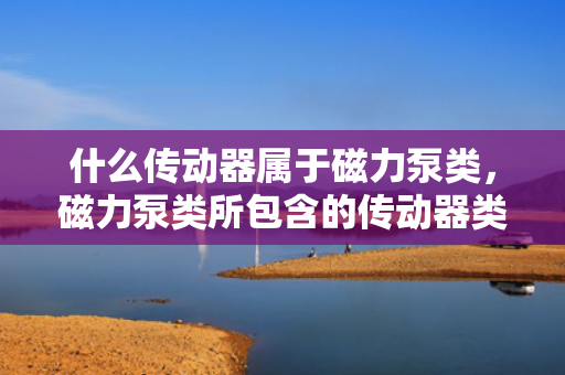 什么传动器属于磁力泵类，磁力泵类所包含的传动器类型