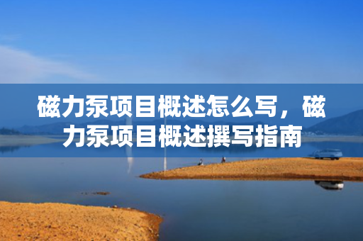 磁力泵项目概述怎么写，磁力泵项目概述撰写指南