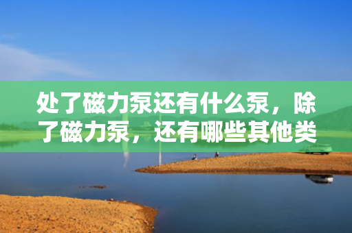 处了磁力泵还有什么泵，除了磁力泵，还有哪些其他类型的泵？