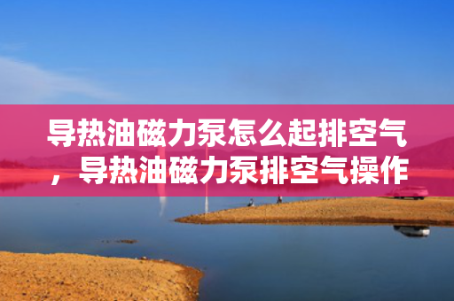 导热油磁力泵怎么起排空气，导热油磁力泵排空气操作指南