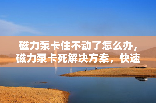 磁力泵卡住不动了怎么办，磁力泵卡死解决方案，快速恢复运转的秘诀