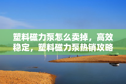 塑料磁力泵怎么卖掉，高效稳定，塑料磁力泵热销攻略，如何成功出售您的设备