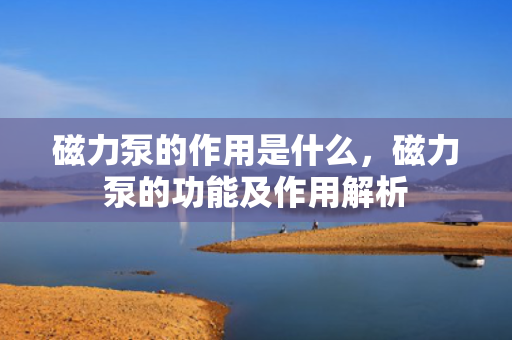 磁力泵的作用是什么，磁力泵的功能及作用解析