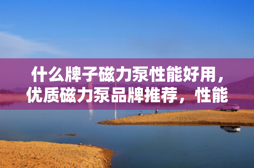 什么牌子磁力泵性能好用，优质磁力泵品牌推荐，性能卓越，值得信赖的选择