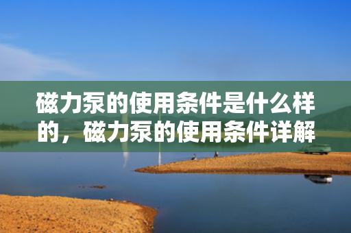 磁力泵的使用条件是什么样的，磁力泵的使用条件详解