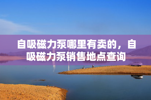 自吸磁力泵哪里有卖的，自吸磁力泵销售地点查询