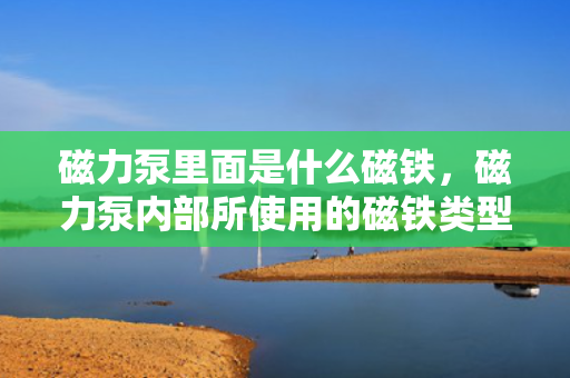磁力泵里面是什么磁铁，磁力泵内部所使用的磁铁类型解析
