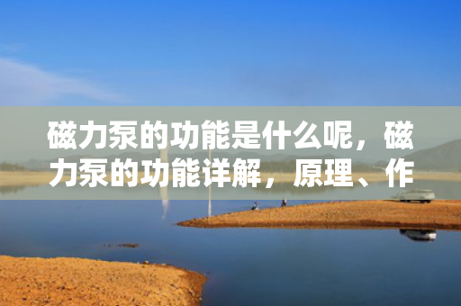 磁力泵的功能是什么呢，磁力泵的功能详解，原理、作用及应用领域