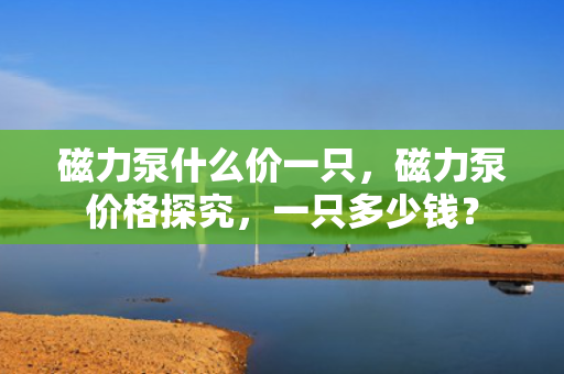 磁力泵什么价一只，磁力泵价格探究，一只多少钱？
