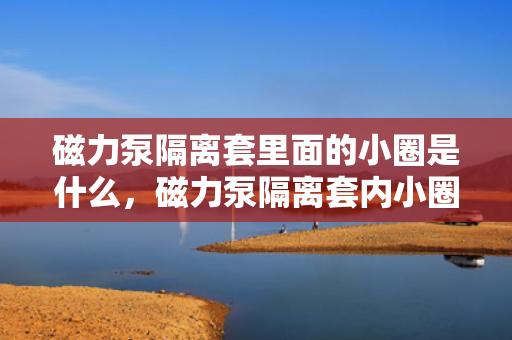 磁力泵隔离套里面的小圈是什么，磁力泵隔离套内小圈的功能与作用解析