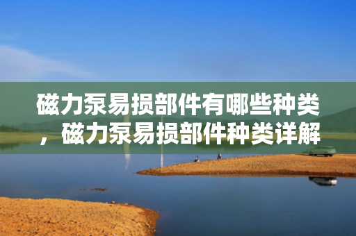磁力泵易损部件有哪些种类，磁力泵易损部件种类详解