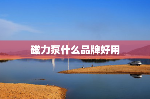 磁力泵什么品牌好用