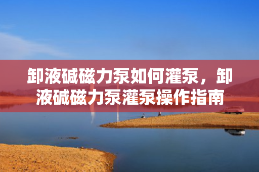 卸液碱磁力泵如何灌泵，卸液碱磁力泵灌泵操作指南