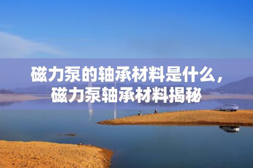 磁力泵的轴承材料是什么，磁力泵轴承材料揭秘