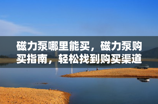 磁力泵哪里能买，磁力泵购买指南，轻松找到购买渠道