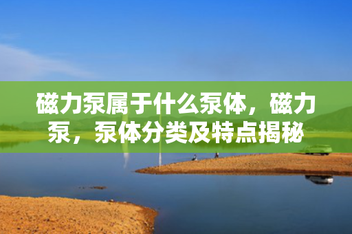磁力泵属于什么泵体，磁力泵，泵体分类及特点揭秘