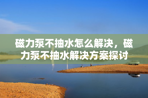 磁力泵不抽水怎么解决，磁力泵不抽水解决方案探讨