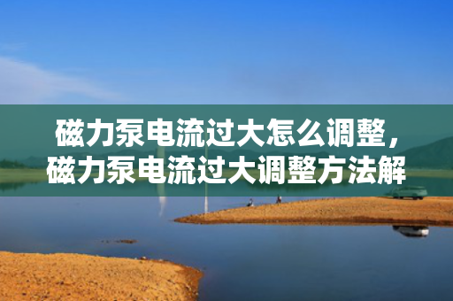 磁力泵电流过大怎么调整，磁力泵电流过大调整方法解析