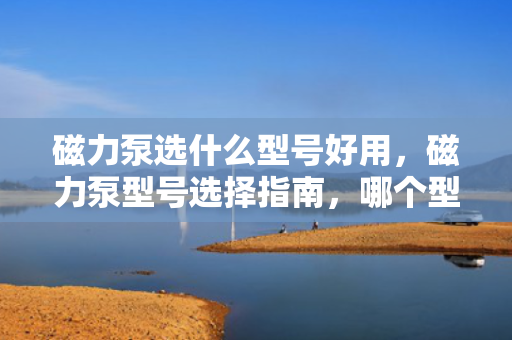 磁力泵选什么型号好用，磁力泵型号选择指南，哪个型号最好用？