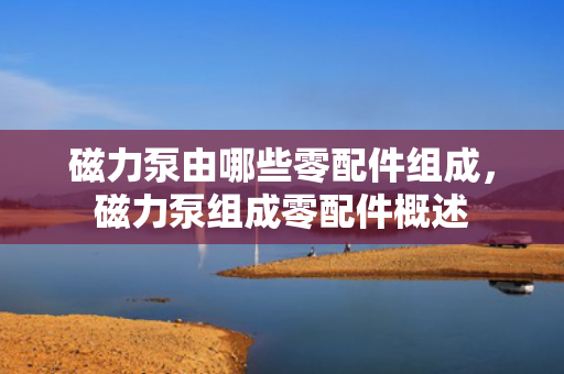 磁力泵由哪些零配件组成，磁力泵组成零配件概述