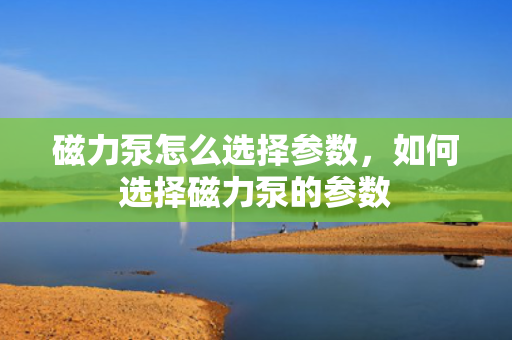 磁力泵怎么选择参数，如何选择磁力泵的参数