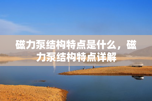 磁力泵结构特点是什么，磁力泵结构特点详解